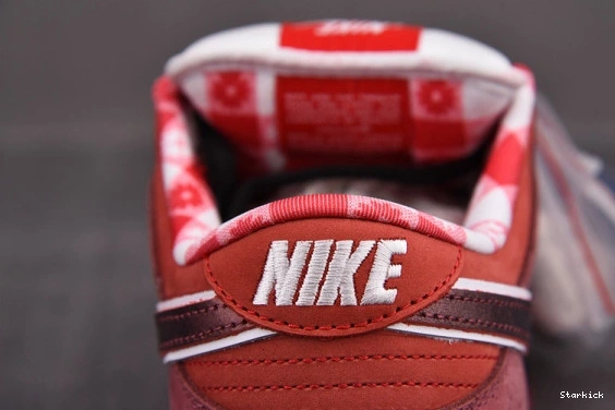 313170-661 Low Lobster SB Nike Concepts Dunk Red 0909
